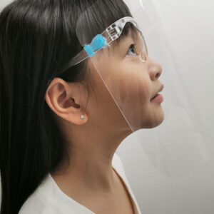 Face Shield Protection